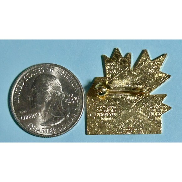Lake Louise ,Florida Ski Council Pin Souvenir,Travel Banff Canada Ski Badge,Pin - Picture 2 of 2